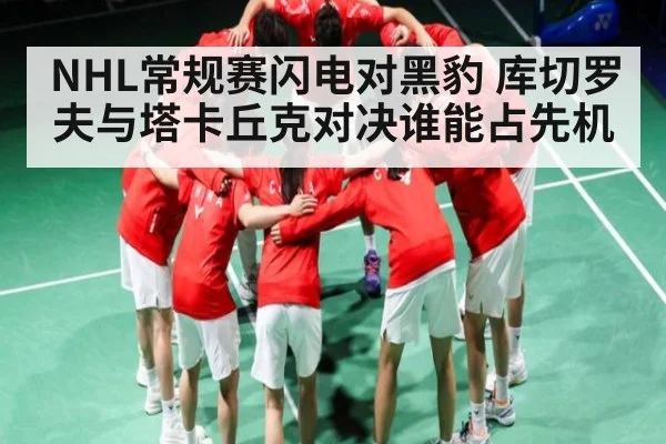 NHL常规赛闪电对黑豹 库切罗夫与塔卡丘克对决谁能占先机